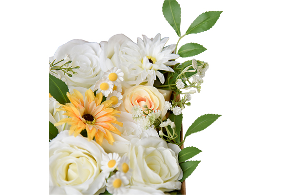 Flower Box-White Venus Chrysanthemum