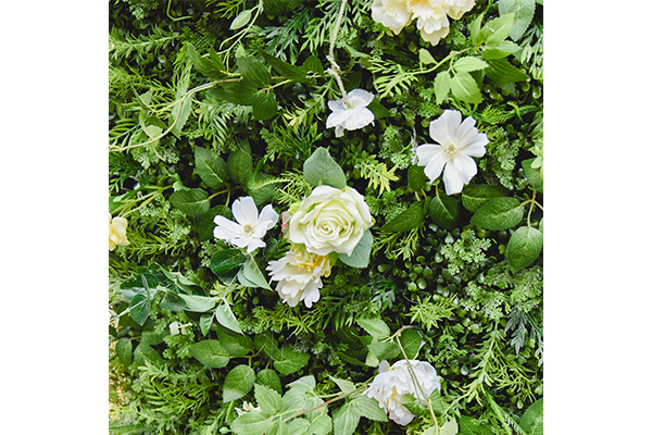 240x240cm Flower Wall-Still Grassland