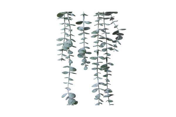 21-Node 10-Group Leaf Eucalyptus, Potted, Dark Green, Frosted (White Hair Pulp, Fluffy)