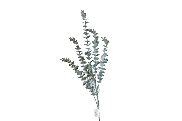 Single Branch 5 Branches 78cm Plastic Eucalyptus Green Frosted (White Hair Pulp)